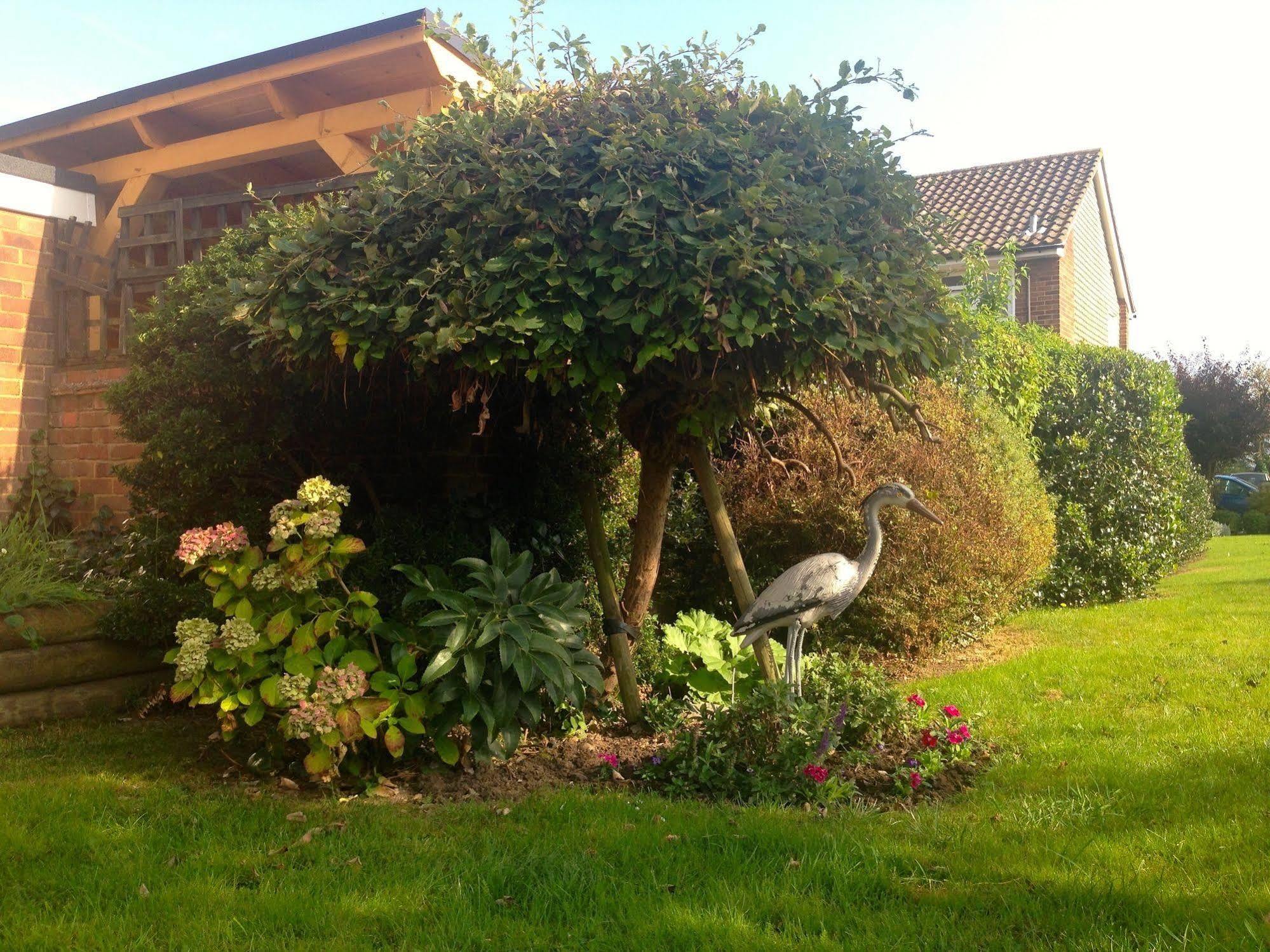 Herons Nest B&B Marlow  Eksteriør billede
